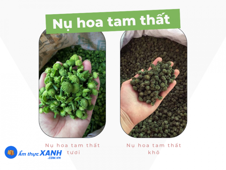 Nụ Hoa Tam Thất Là Gì? Có Mấy Loại? Hình Ảnh Nụ Hoa Tam Thất